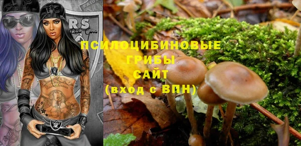 твердый Белоозёрский